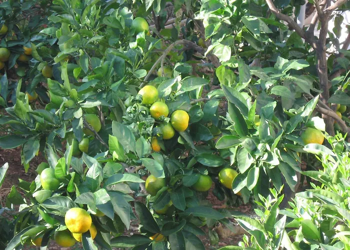 For Four Persons With Sea View In Near The 特罗吉尔