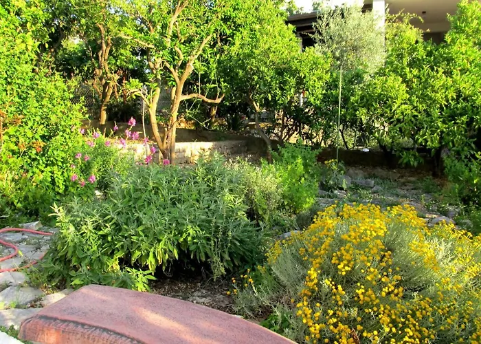 公寓 For Four Persons With Sea View In Near The *